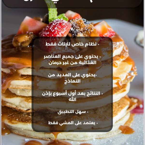 النظام المرن